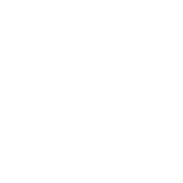 R—CX Shopify Consultancy